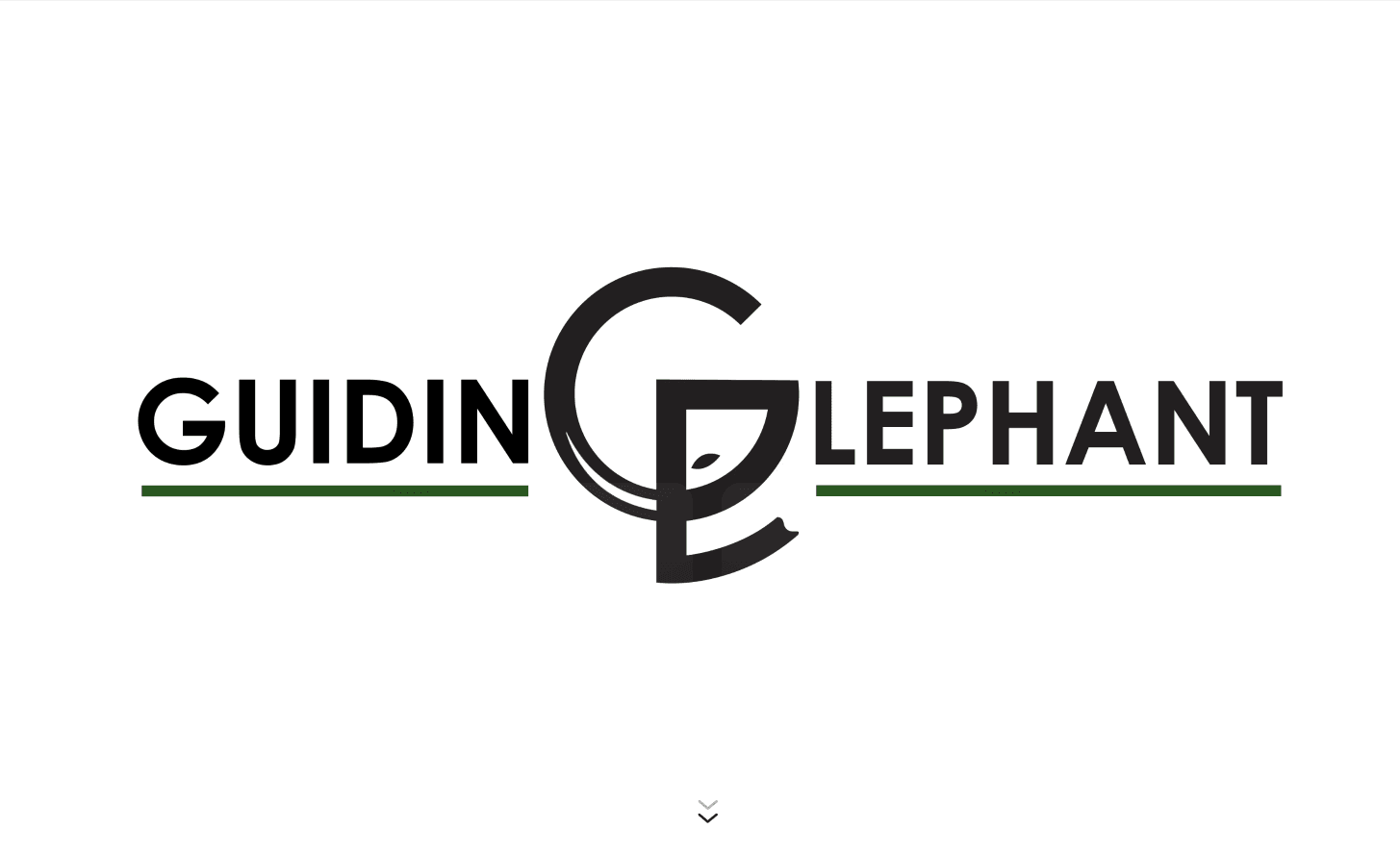 GuidingElephant: Modern No-Code Finance Website - Image 1