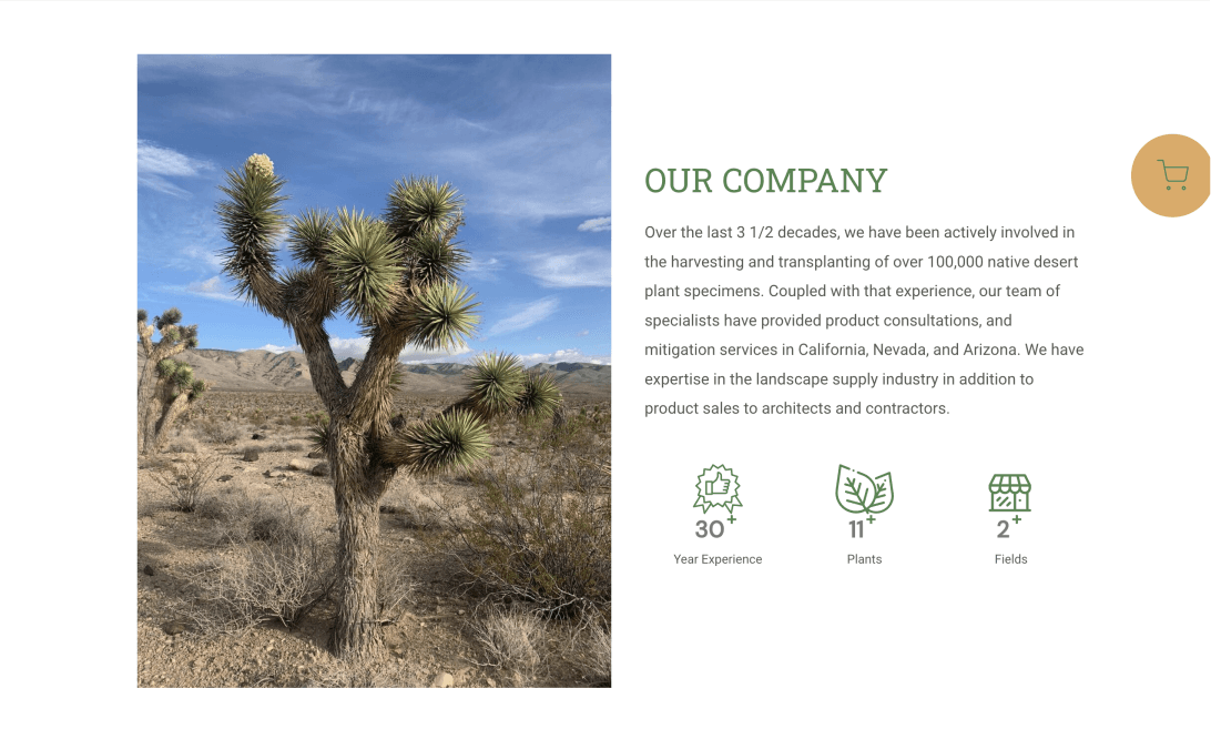 Joshua Trees: Scalable Shopify Store – 2