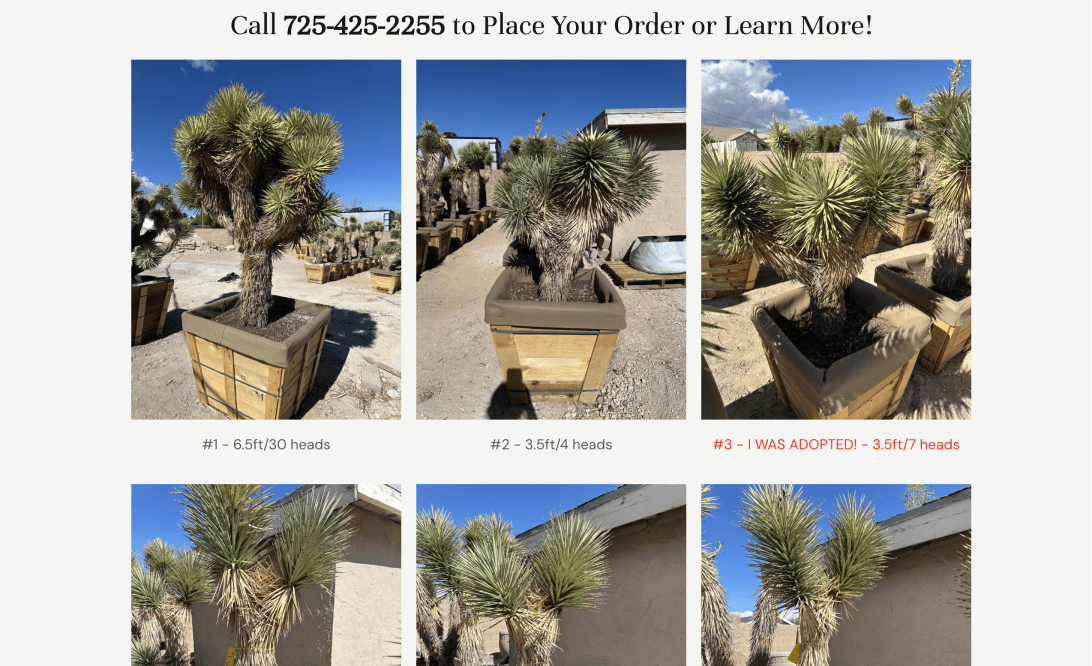 Joshua Trees: Scalable Shopify Store – 3