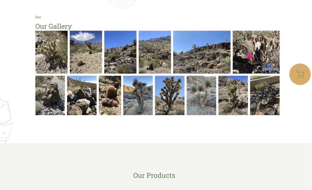Joshua Trees: Scalable Shopify Store – 4